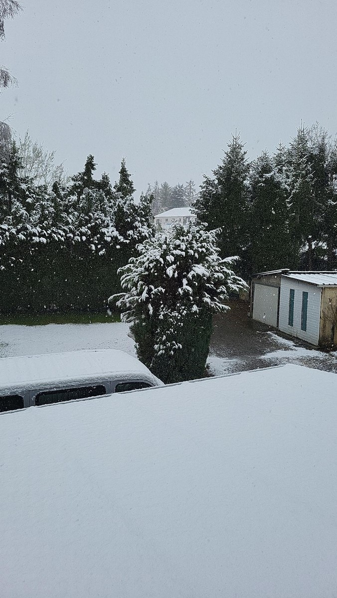 signal 2026 03 14 08 11 33 081