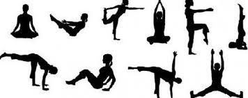 renfort musculaire